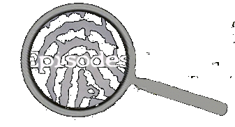 episodes.jpg (29491 bytes)